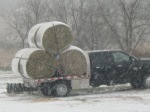 Hay.Truck.in.Snow.11.26.13