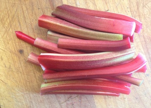 Rhubarb.Raw.stalks