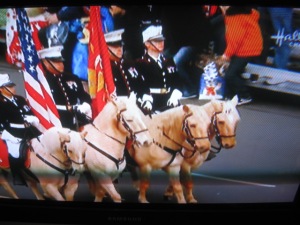 Beautiful horses ridden by Marines. Hubby was a Marine, and I'm still nuts over horses.